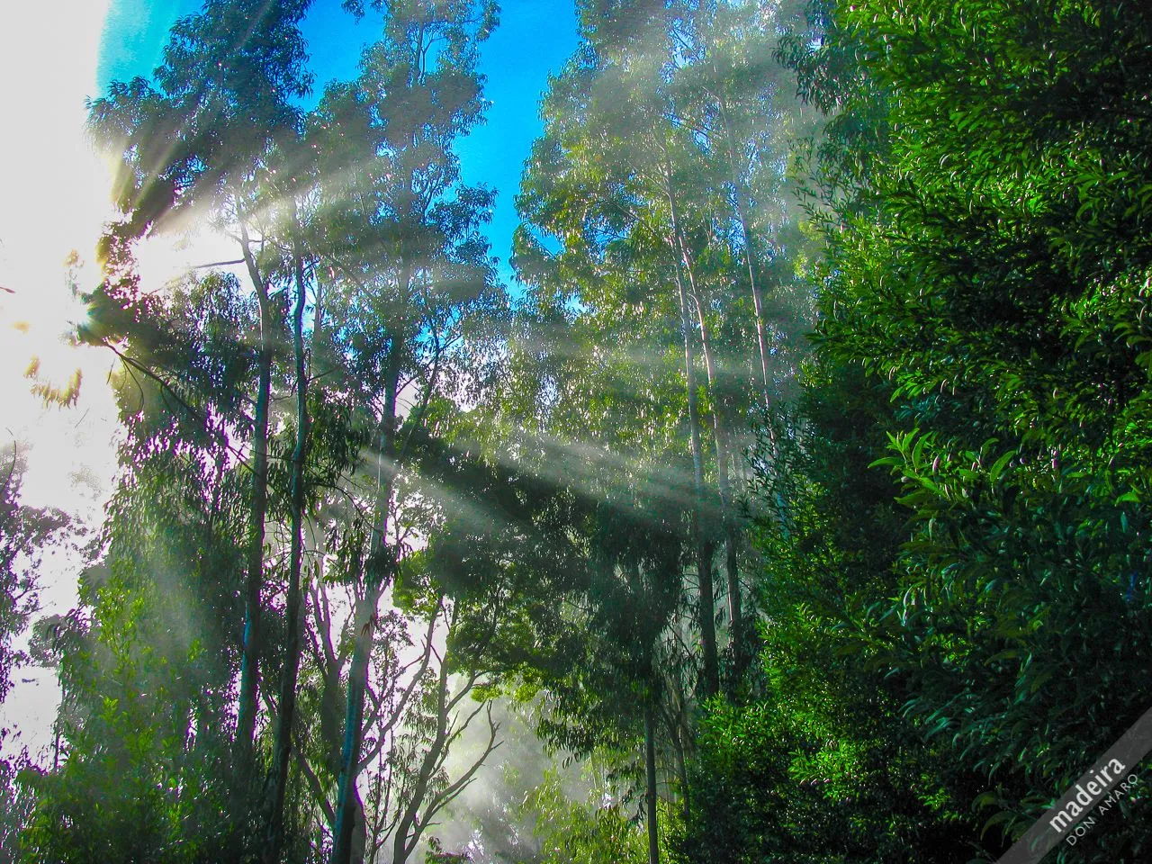 sunlight.jpg