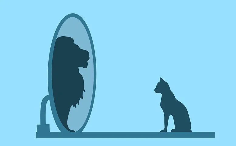 cat-5690627__480.png