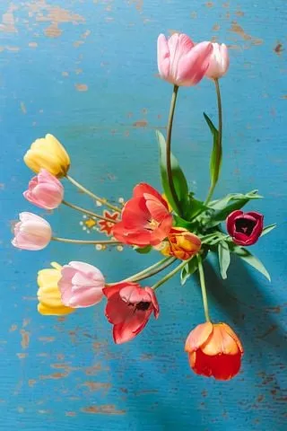 tulips-3209128__480.jpg