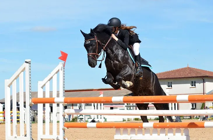 horse-721136__480.jpg
