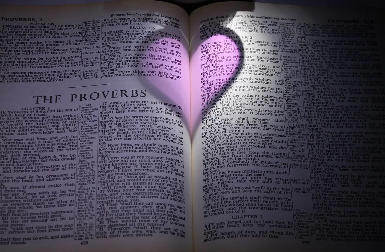 bible-g0703335c8_1920.jpg