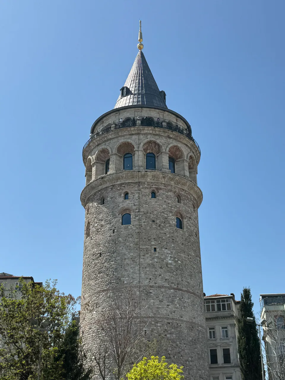 IMG_6920.jpeg