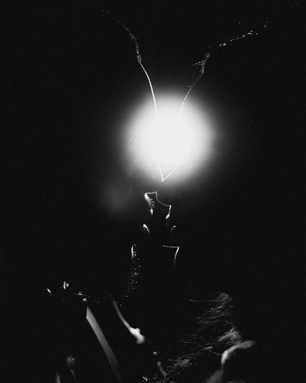 yan (8).jpg