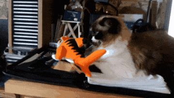 20230115_075158.gif
