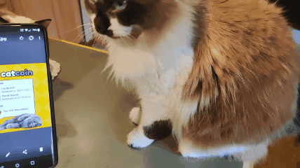 20230531_051216.gif