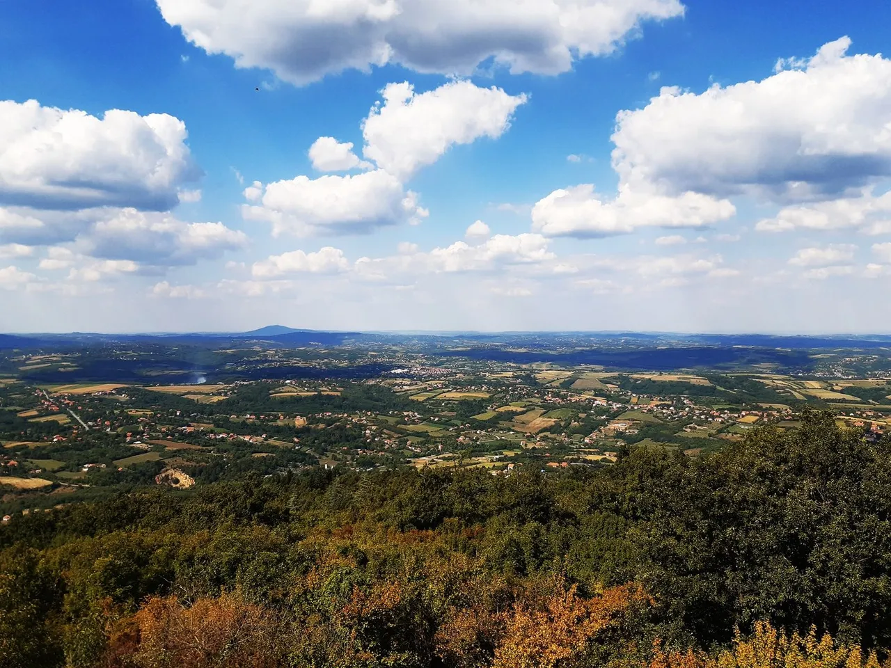 20210905_144356.jpg