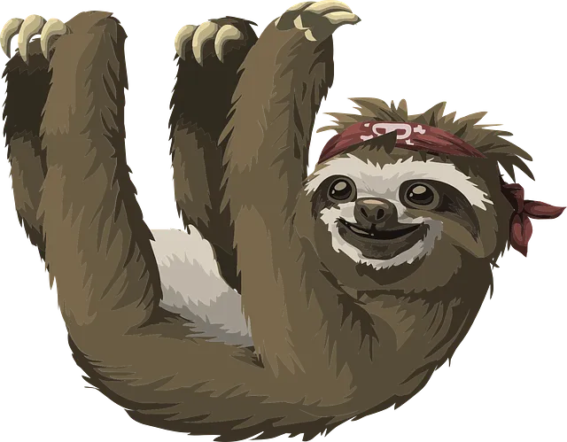 sloth-g43f63790d_640.png