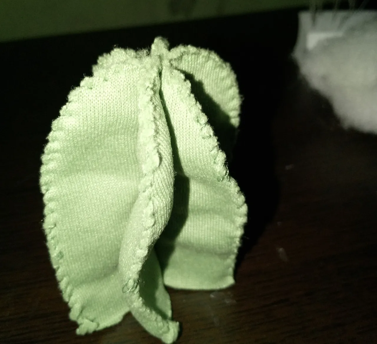 IMG_20250410_185246_223.jpg