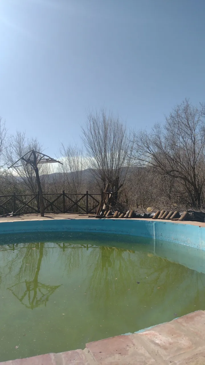 IMG-20220718-WA0006.jpeg