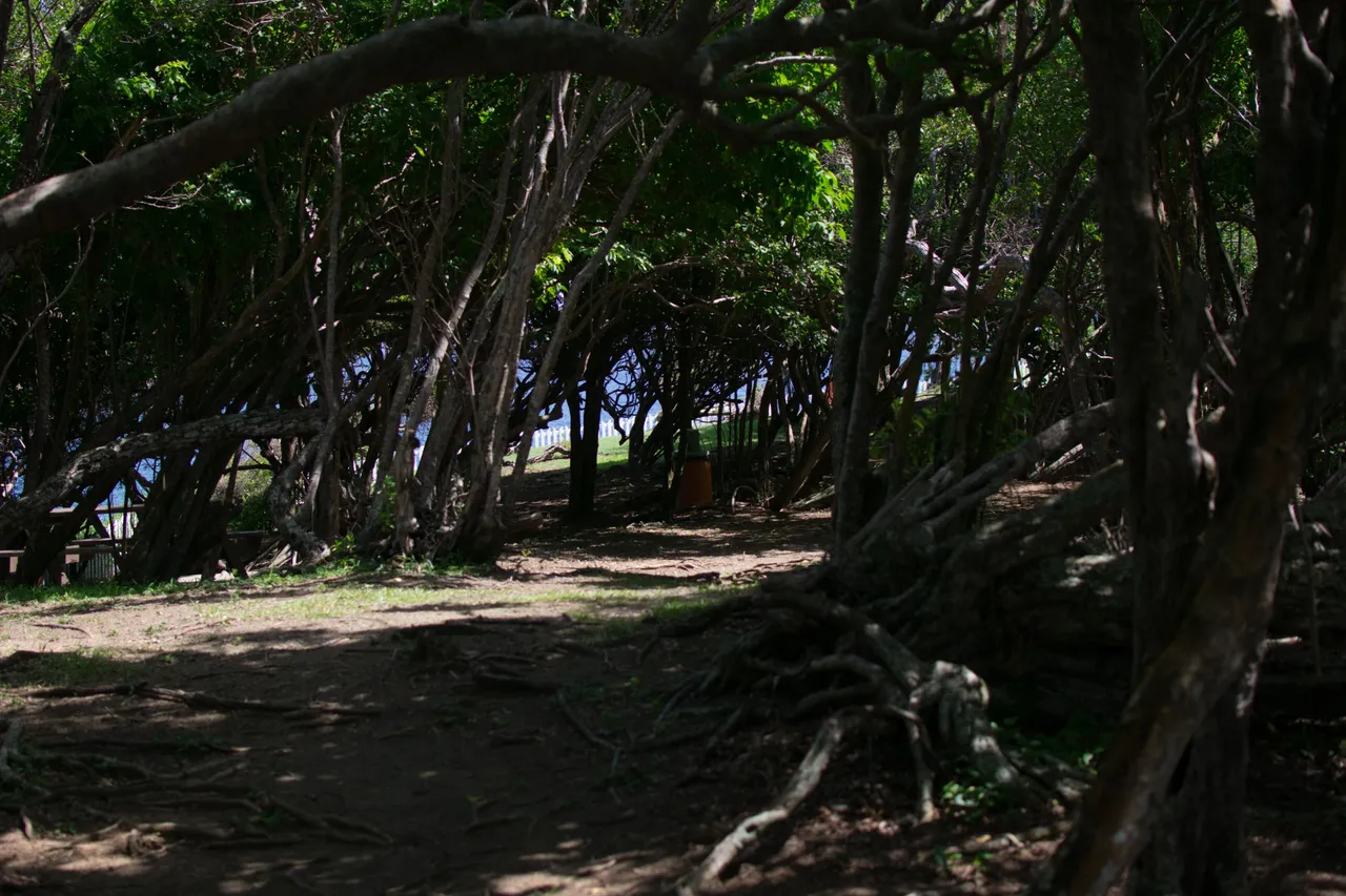 DSC_0933.jpg