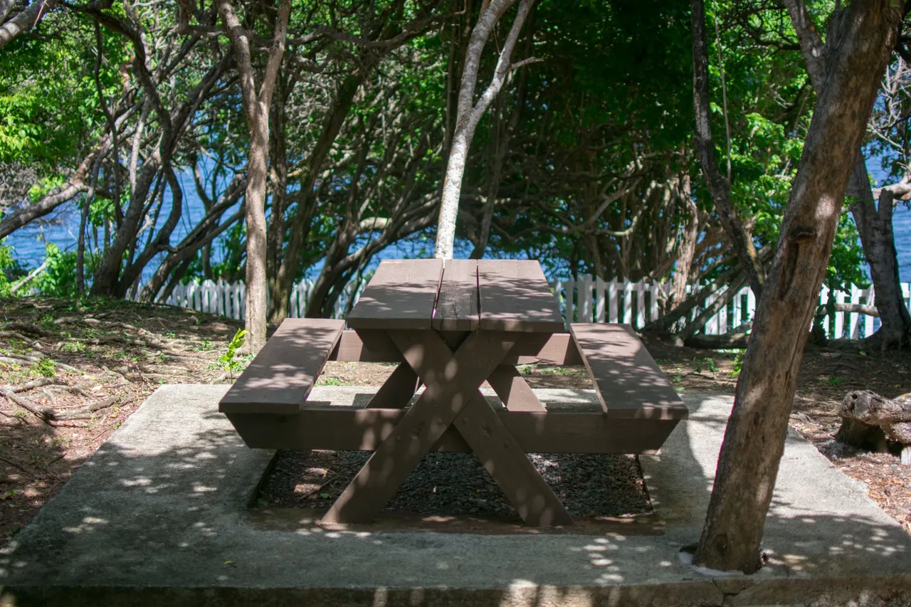 DSC_0934.jpg
