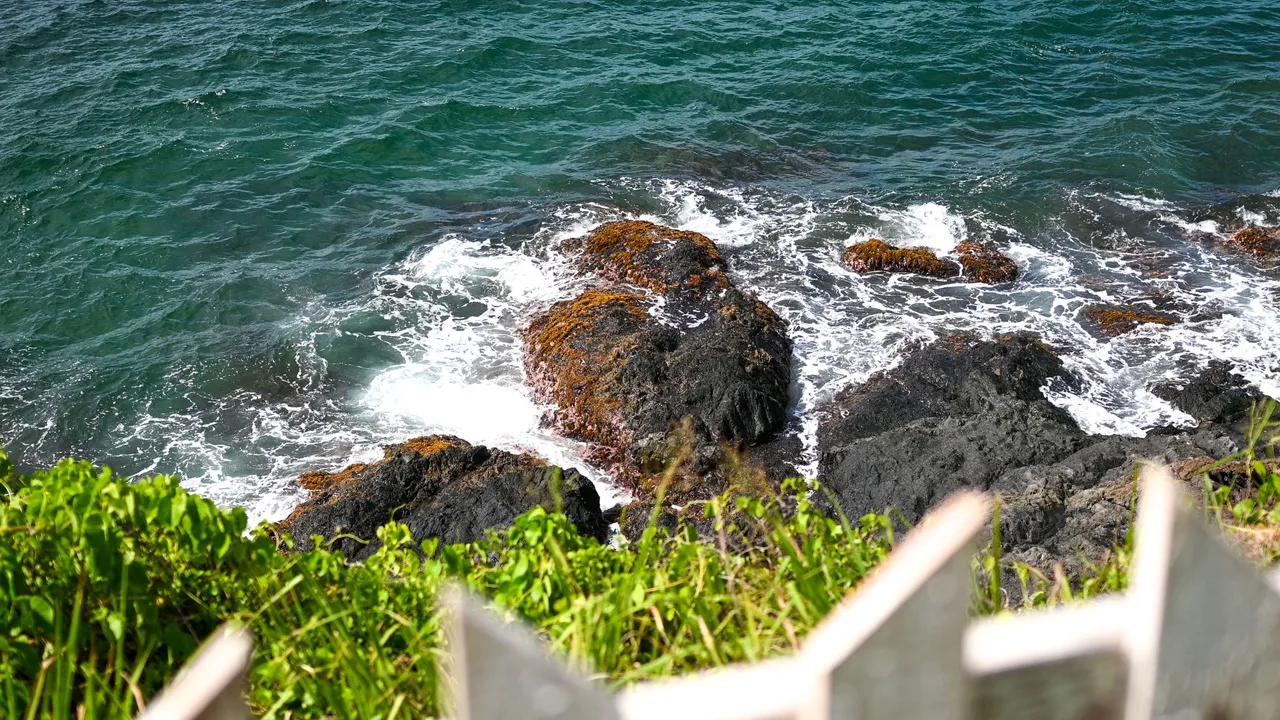 DSC_0813.jpg