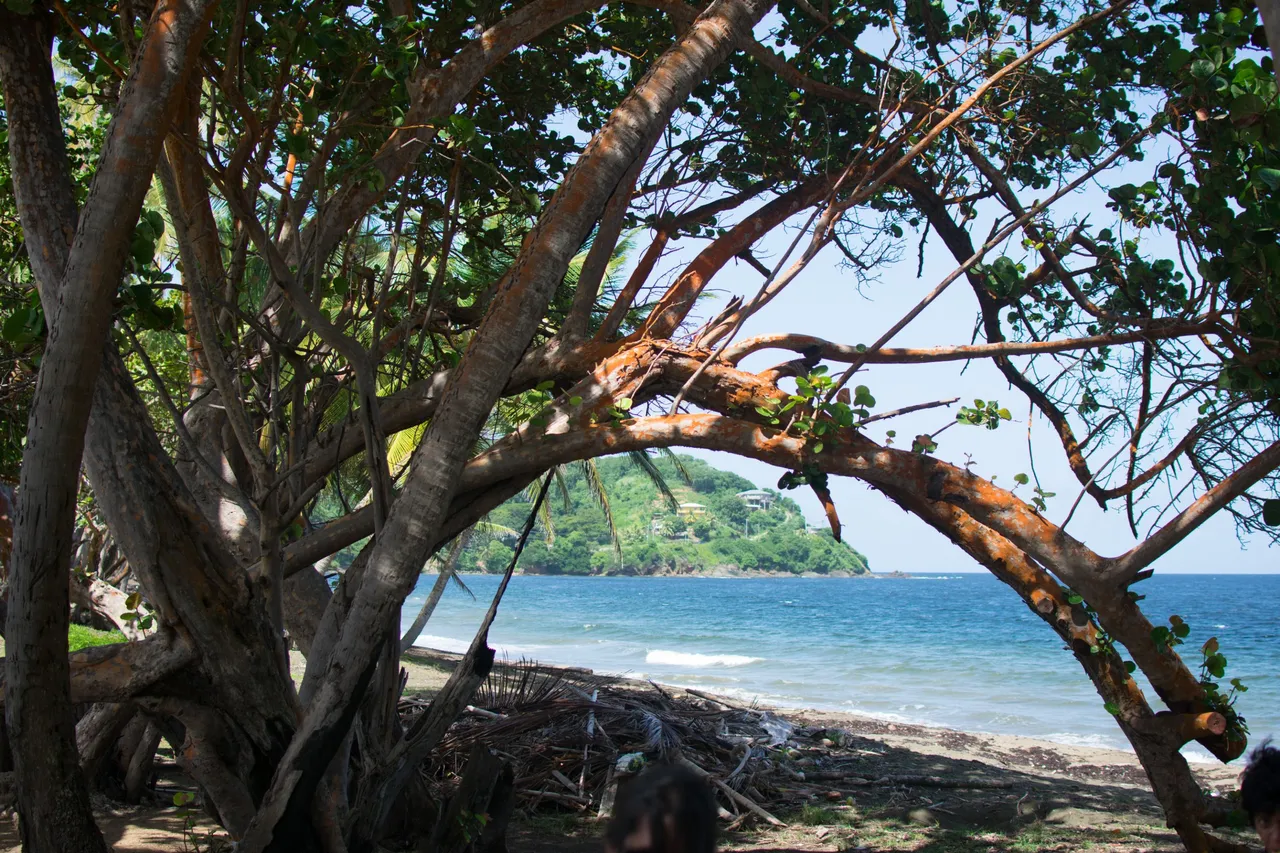 DSC_0899.jpg