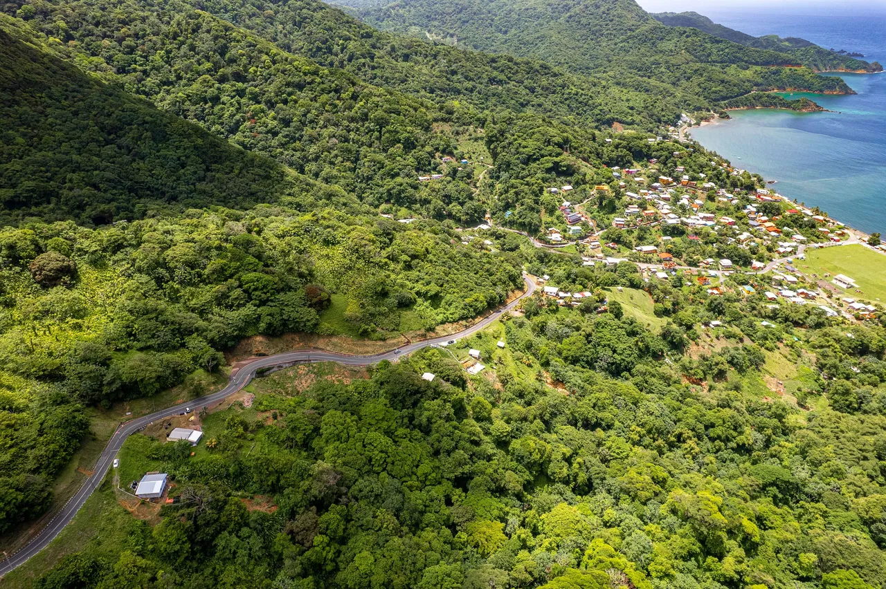 DJI_0317.jpg