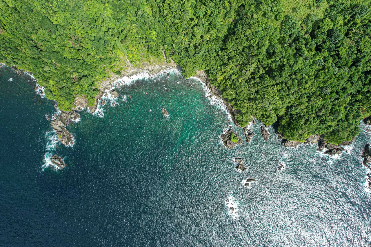 DJI_0122.jpg