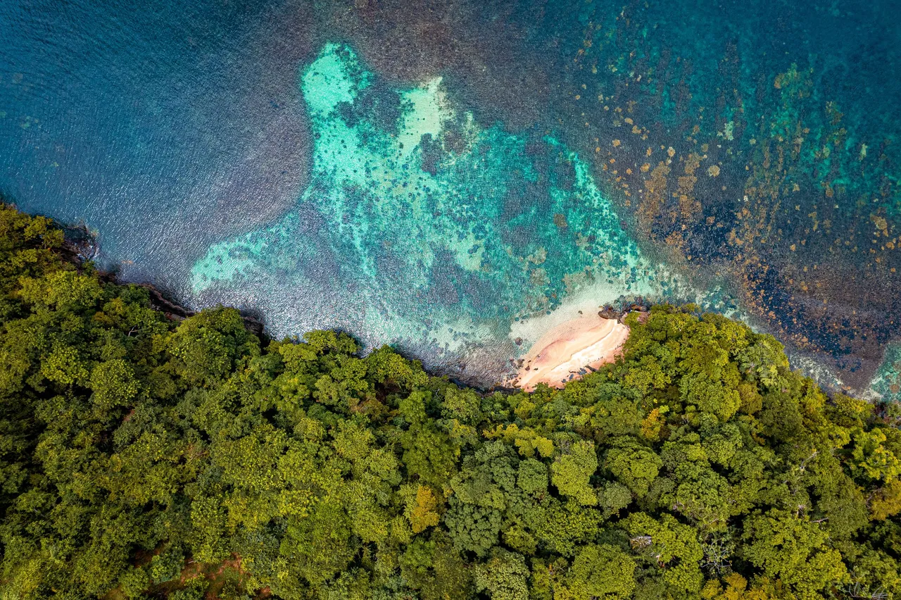DJI_0229.jpg