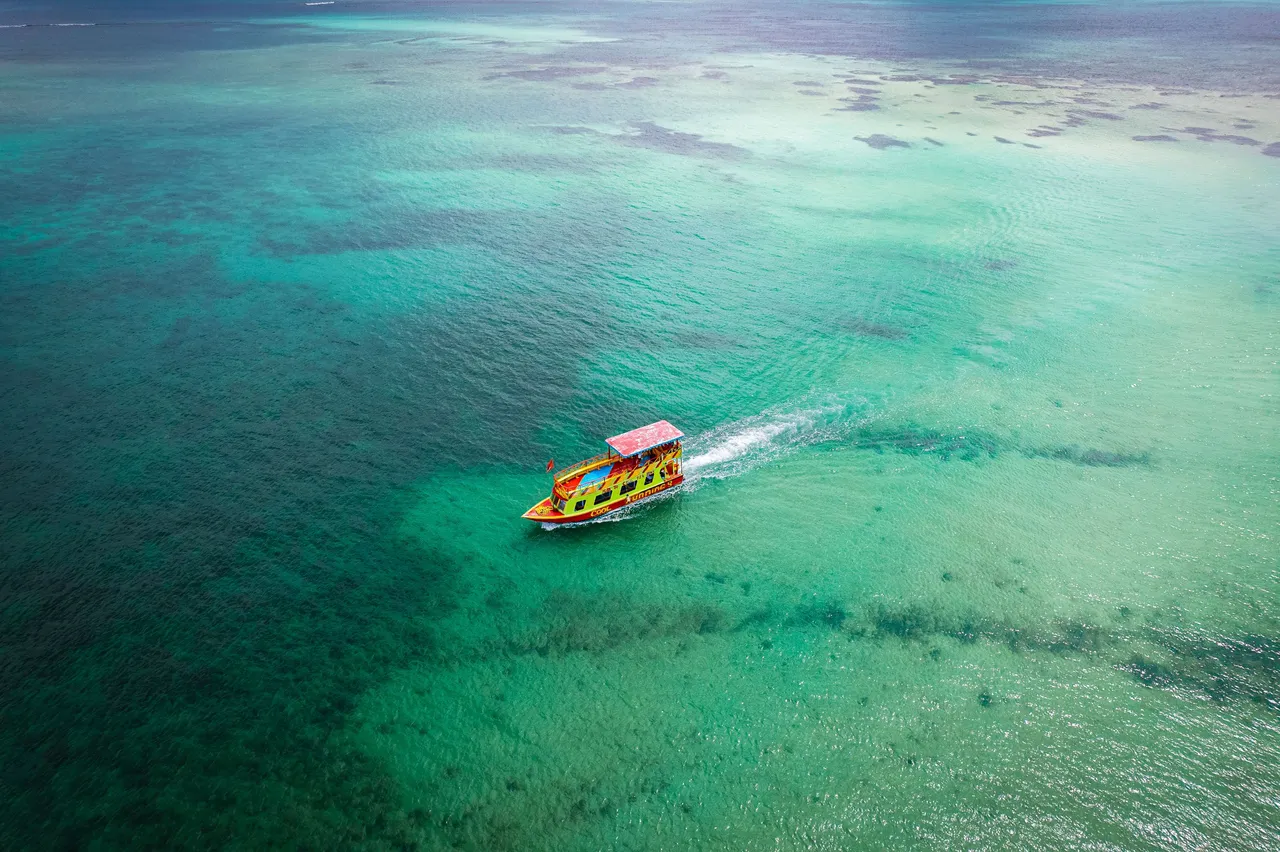 DJI_0271.jpg