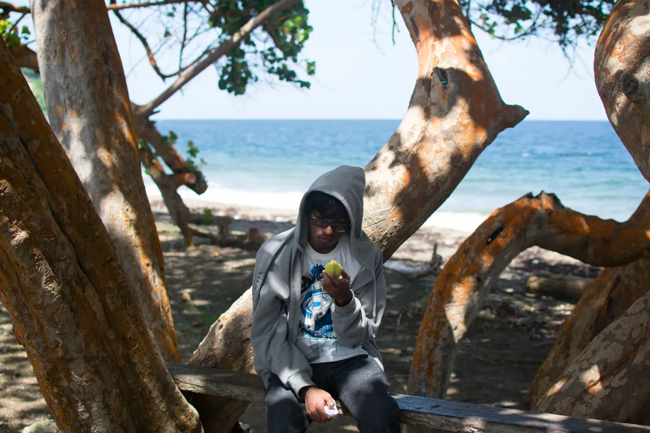 DSC_0896.jpg
