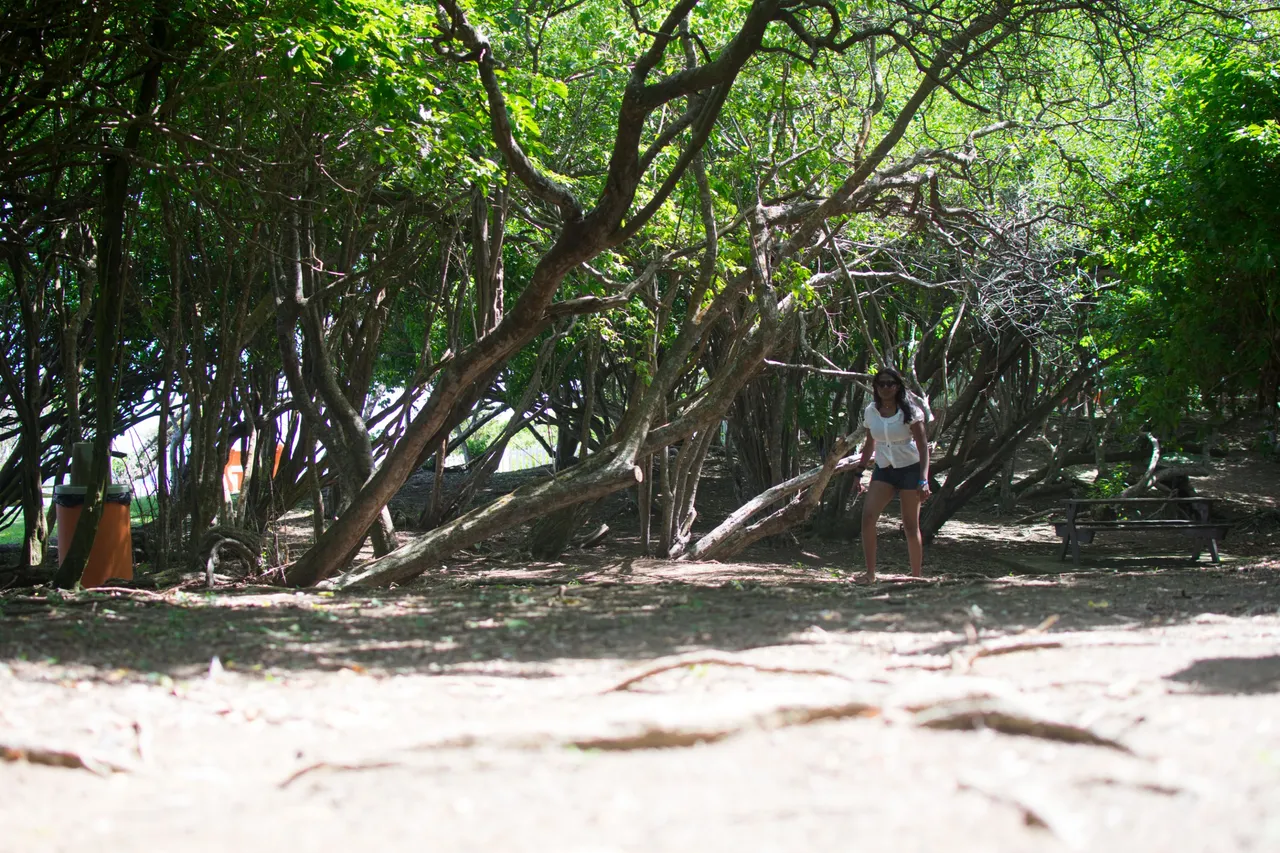 DSC_0941.jpg