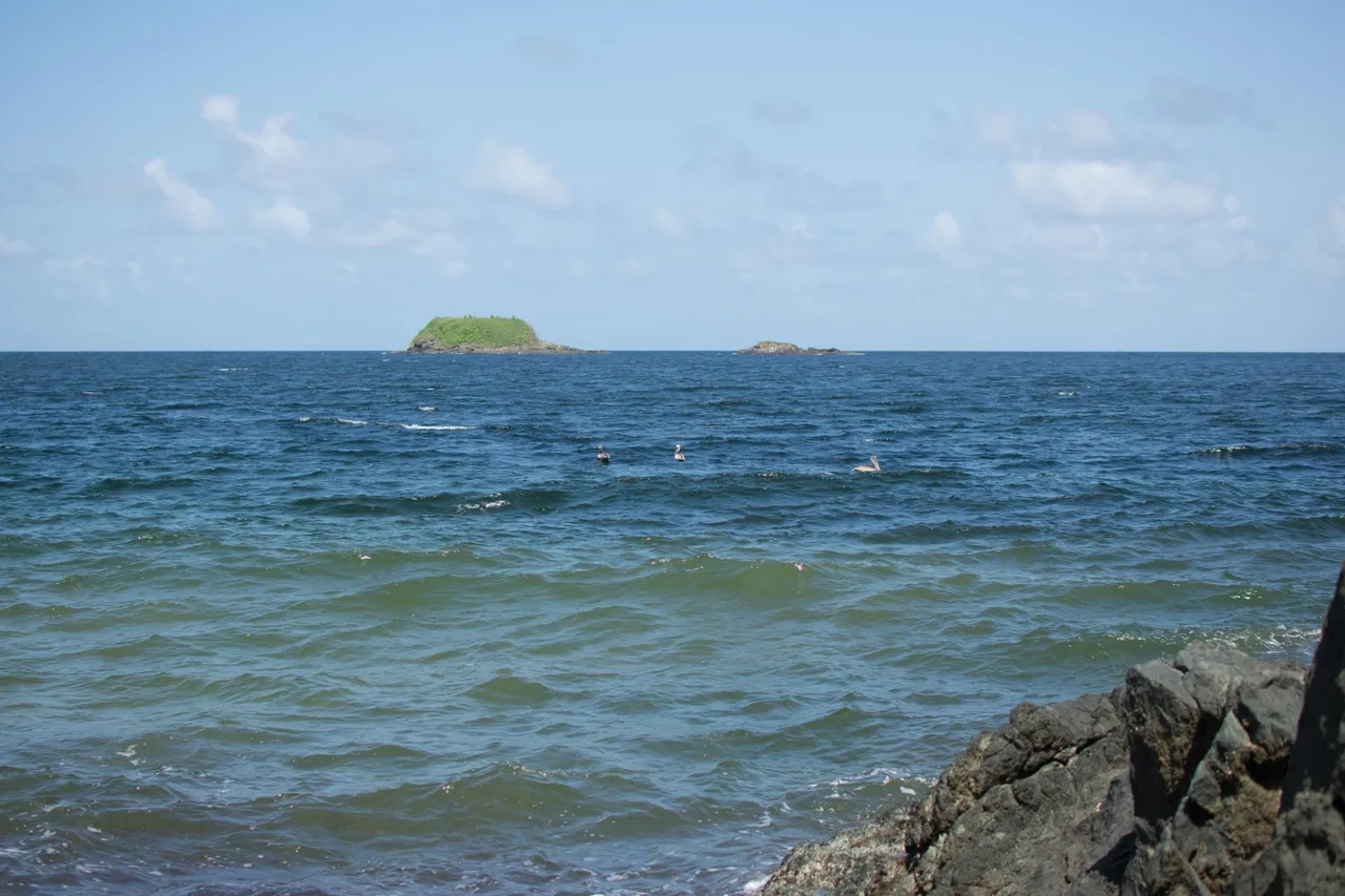 DSC_0882.jpg