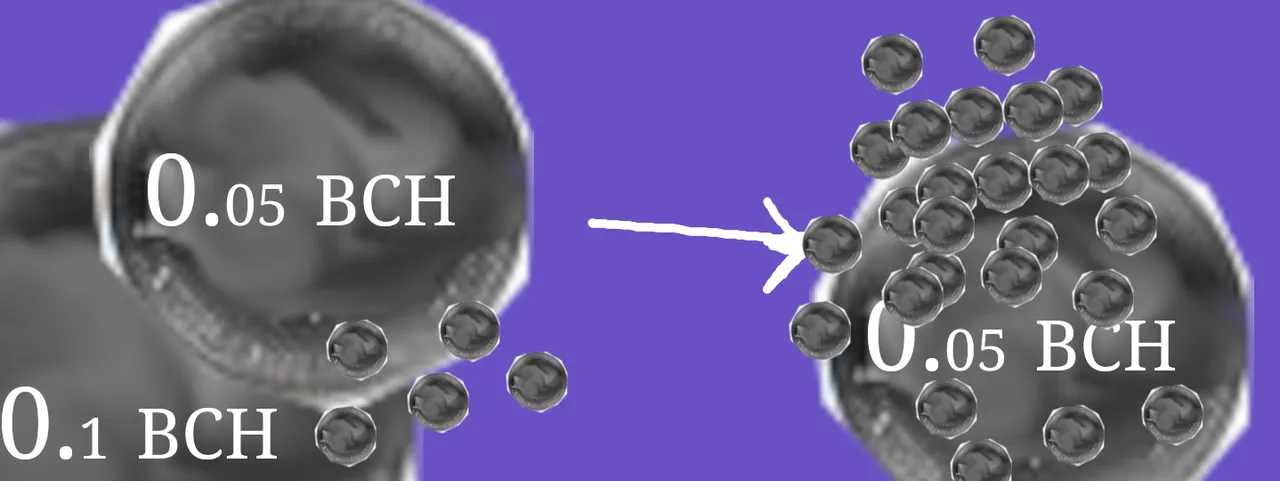 cashFusionResult.png