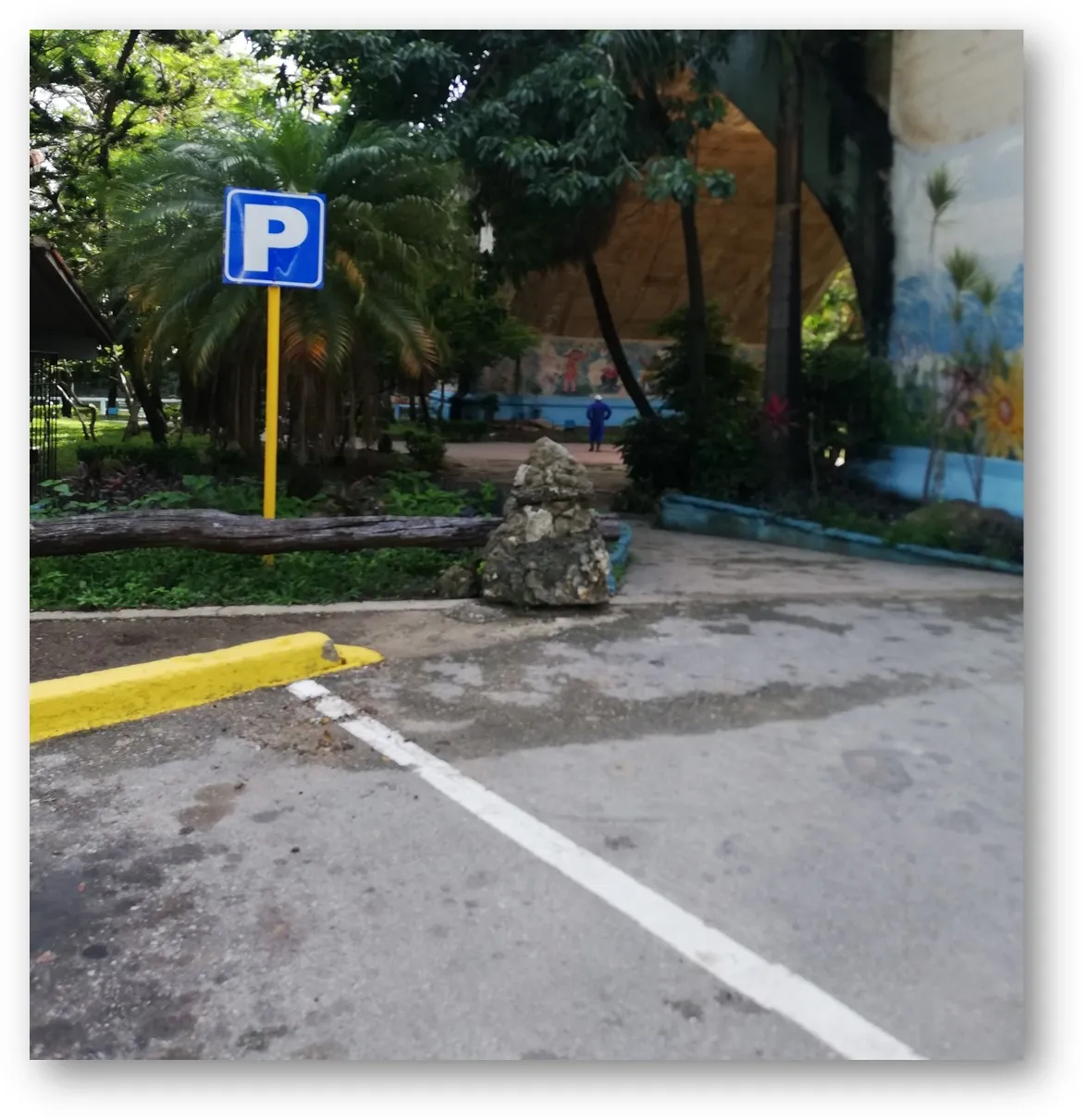 Imagen18.jpg