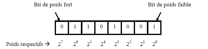 téléchargement (1).png