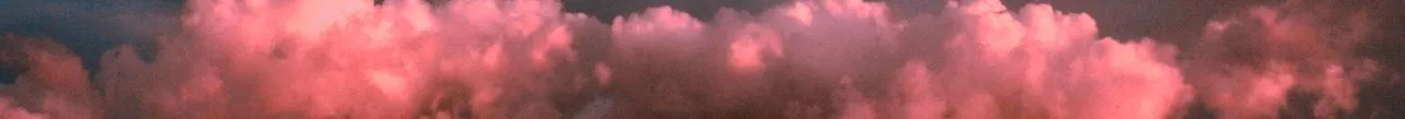 cielo de venados.jpg