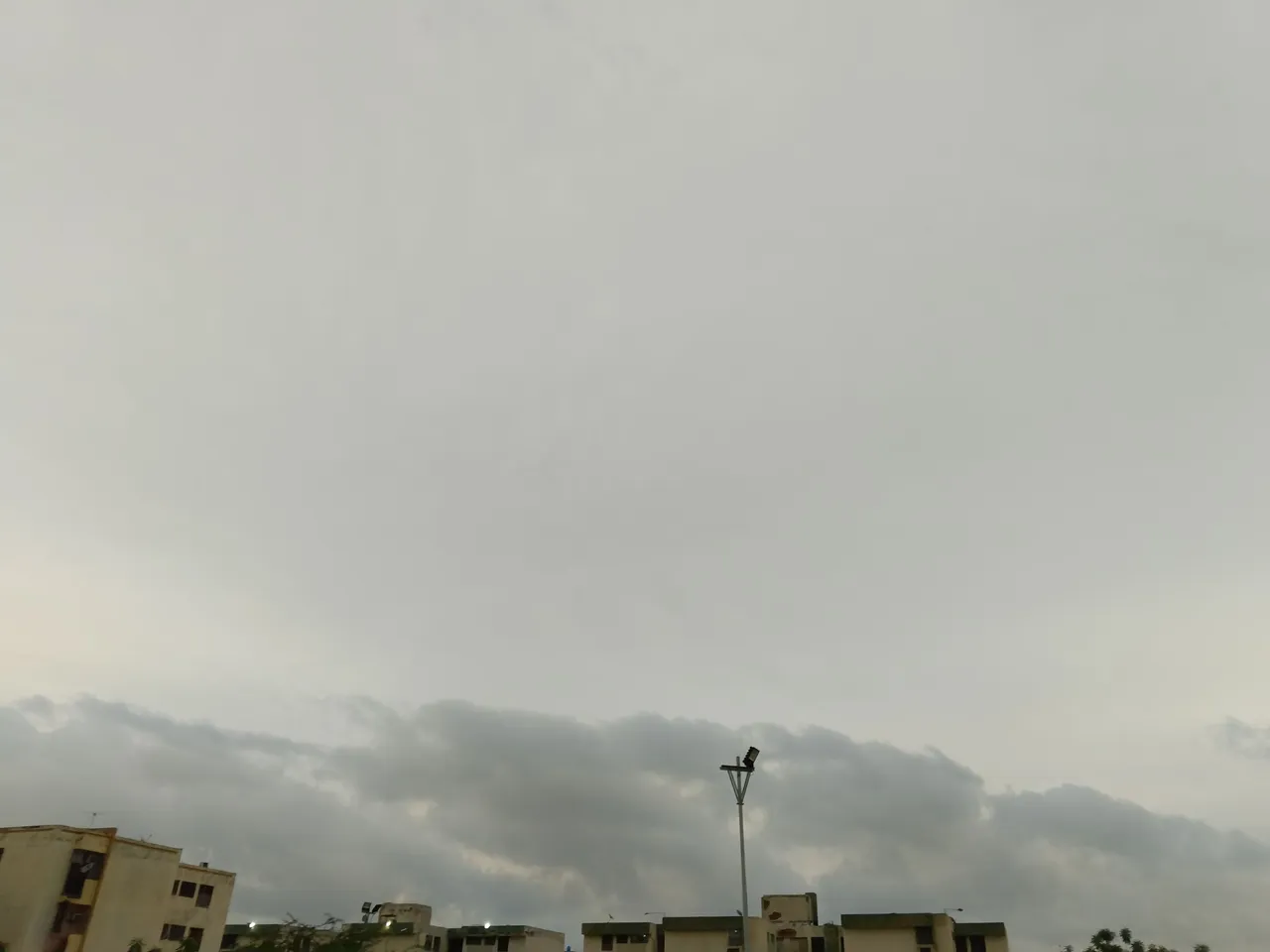 1000388823.jpg