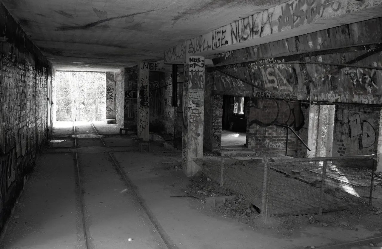 DSC_0016.jpg