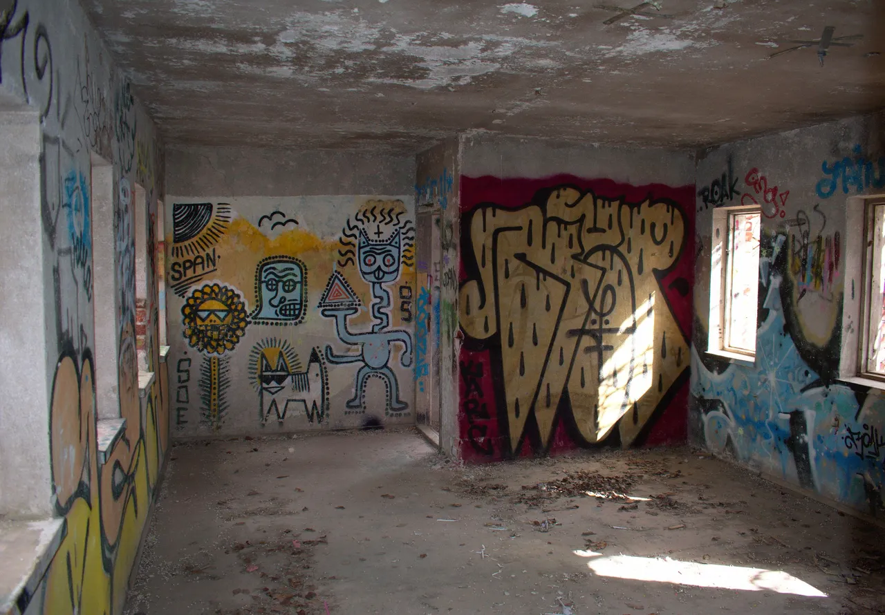DSC_0011.jpg