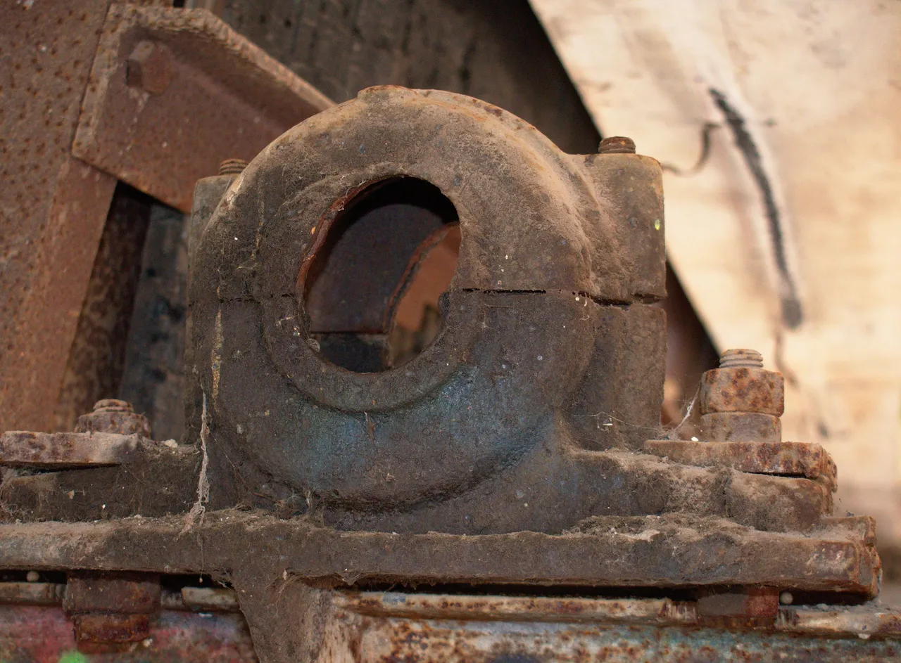DSC_0017.jpg