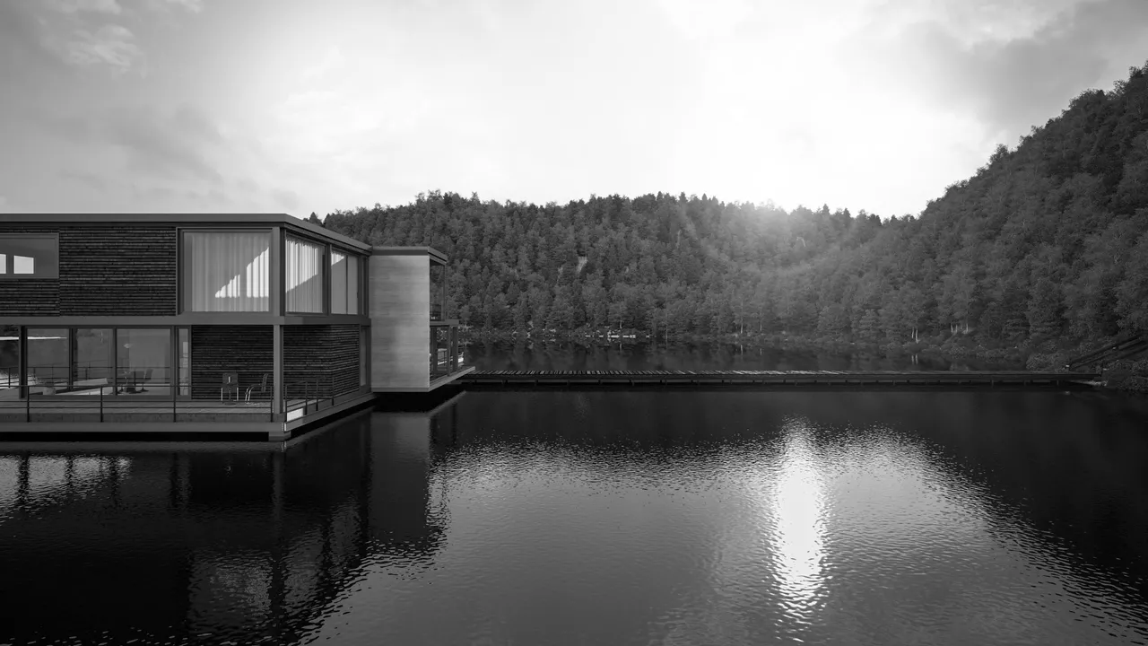 13134546sw.jpg