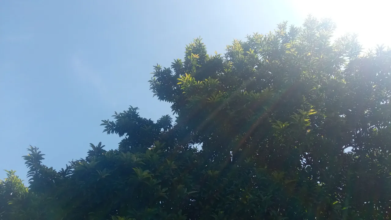 1665840000989.jpg