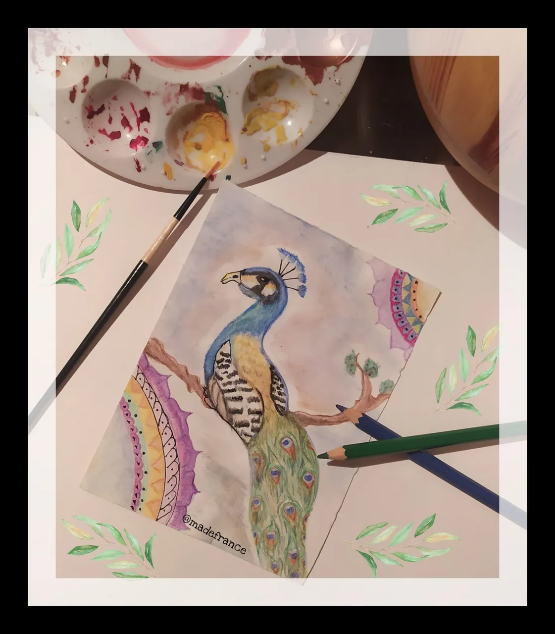 PicsArt_09-12-12.40.11.jpg