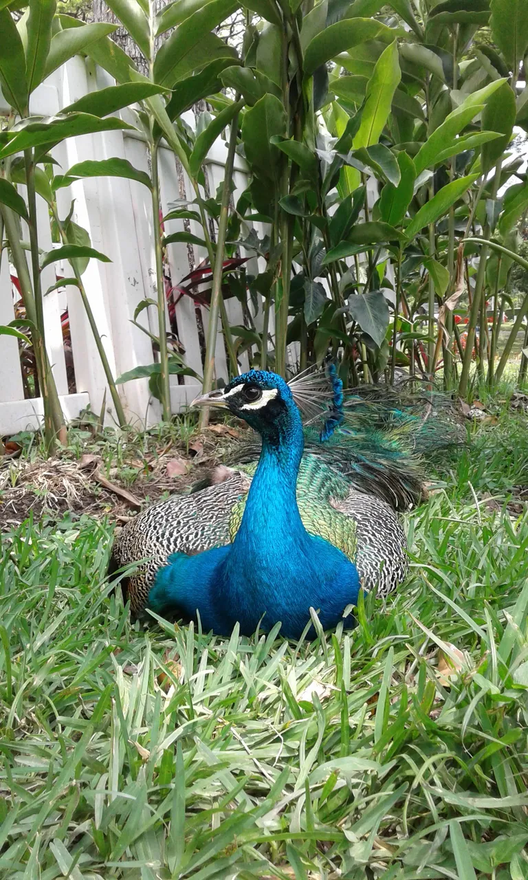 20180401_123209.jpg
