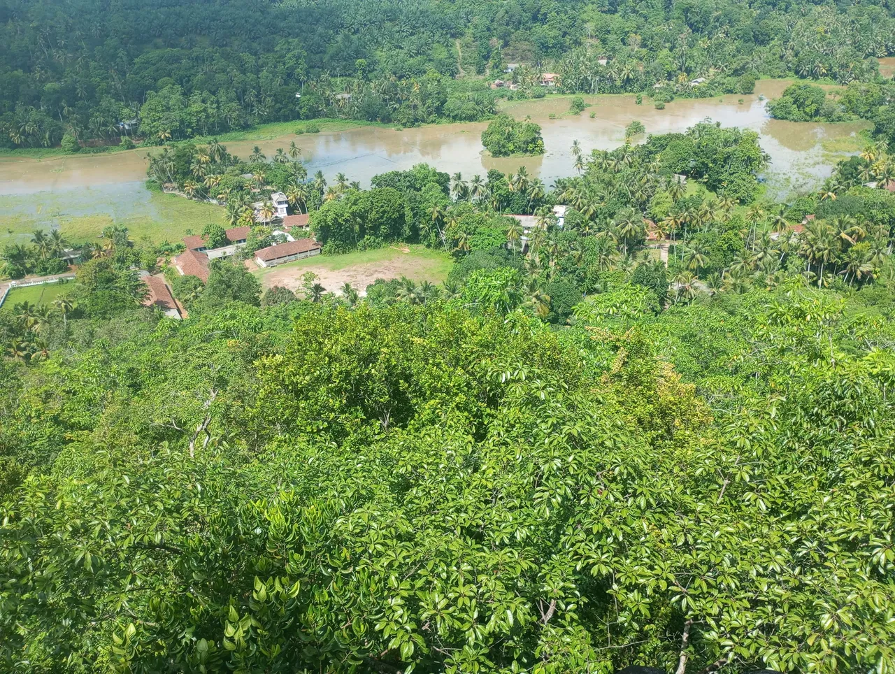 IMG_20240501_100722.jpg