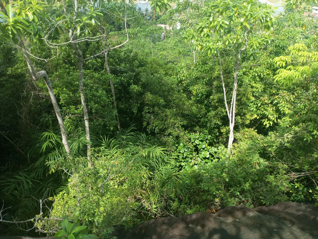 IMG_20240501_100404.jpg