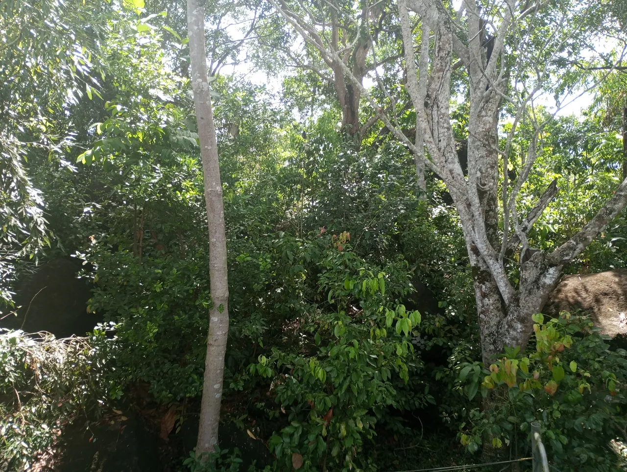 IMG_20240501_100935.jpg