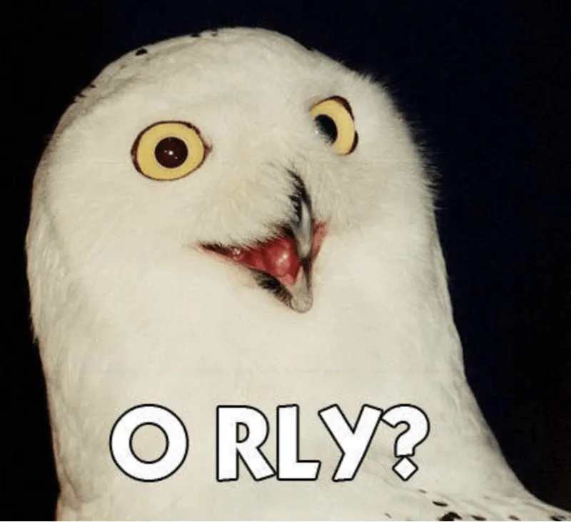 O RLY meme