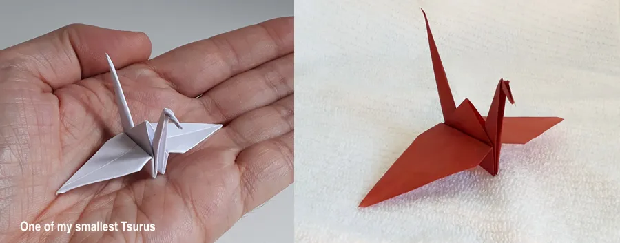 tsuru_2.jpg