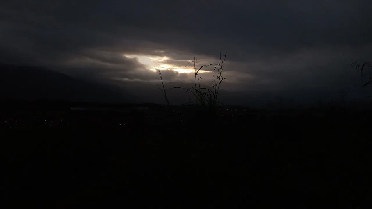 IMG_20250628_063117.jpg