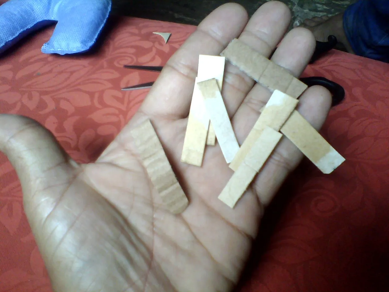IMG01495.jpg