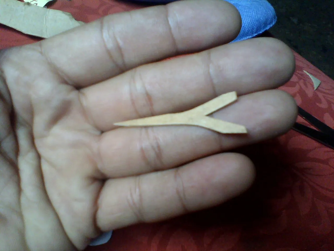 IMG01493.jpg