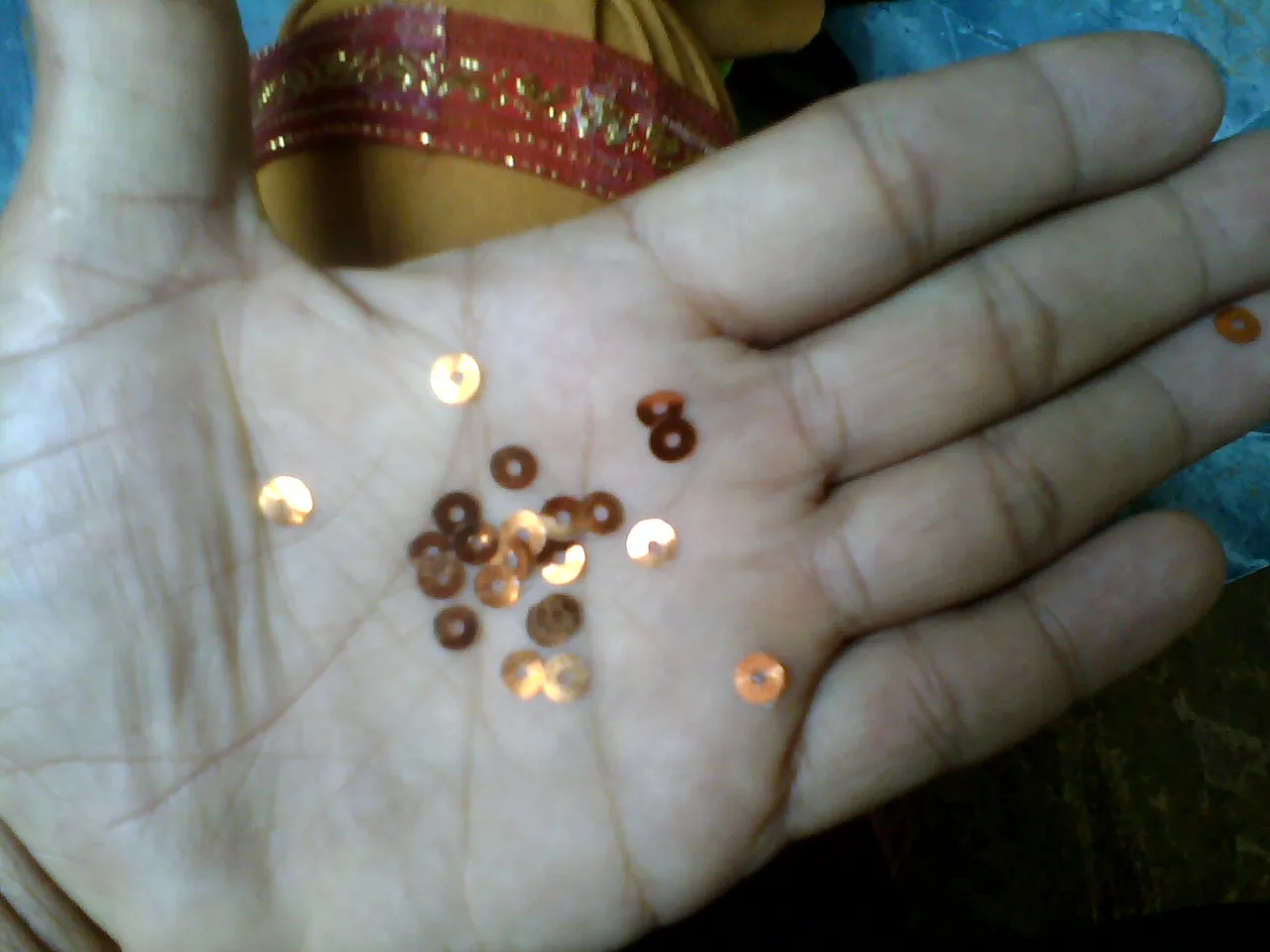 IMG01518.jpg