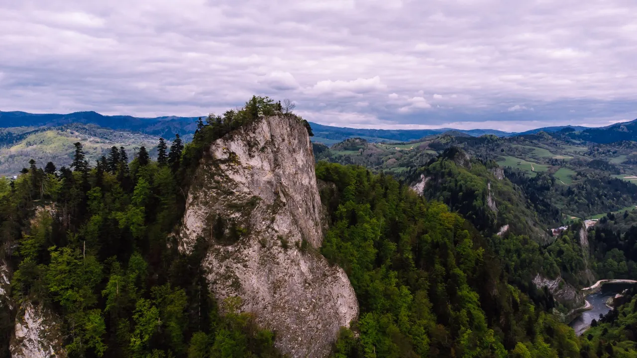 DJI_0050.jpg