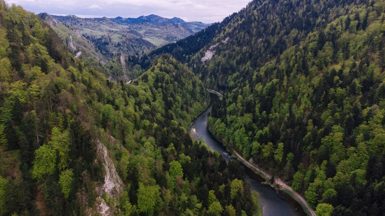 DJI_0049.jpg