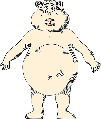 fat-30252__480.webp
