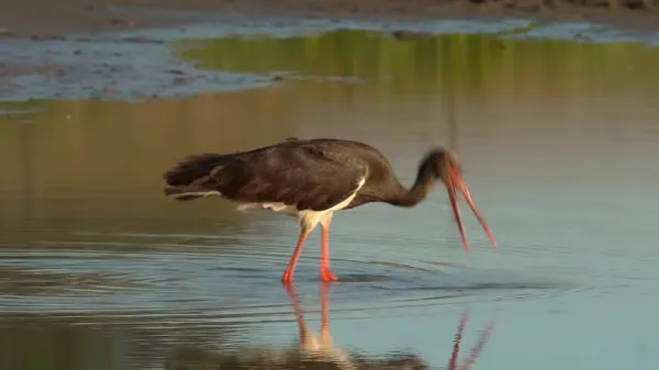 786665434334.png