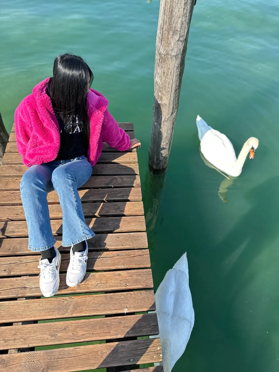 IMG_3013.jpeg